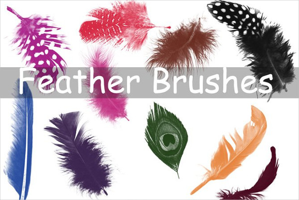 large feather brushes