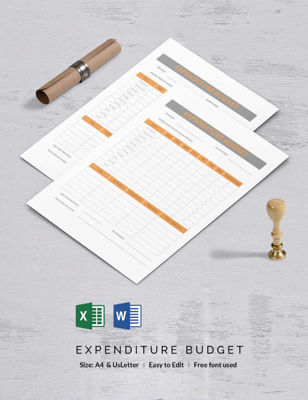 expenditure budget template