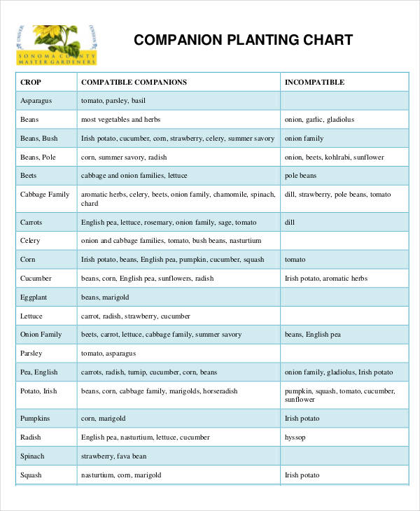 Herb Watering Chart