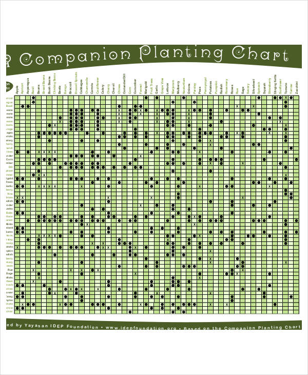 Compatible Vegetable Gardening Chart