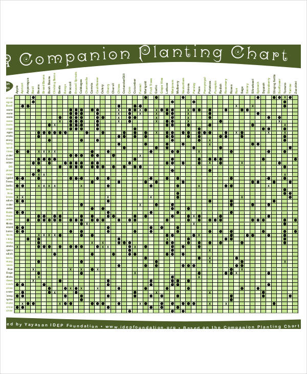 Companion Planting Chart 9 Free Excel PDF Documents Download