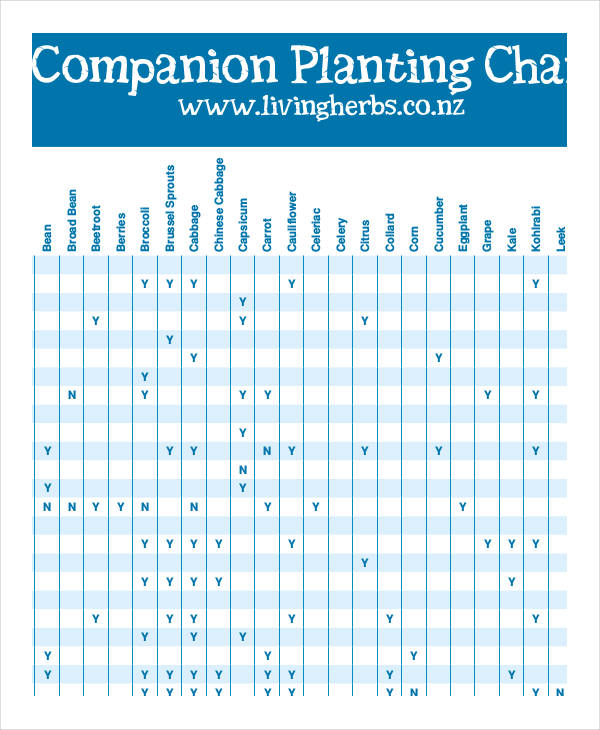 Companion Planting Chart 9+ Free Excel, PDF Documents Download