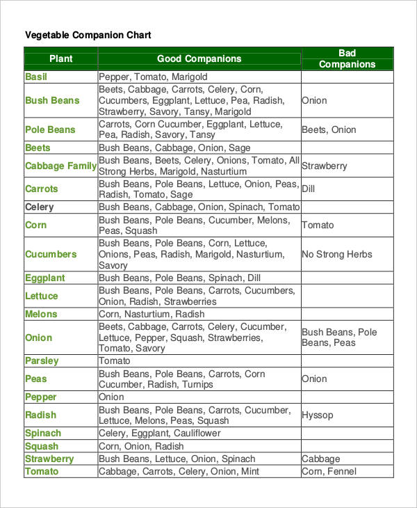 Companion Planting Chart 9+ Free Excel, PDF Documents Download Free