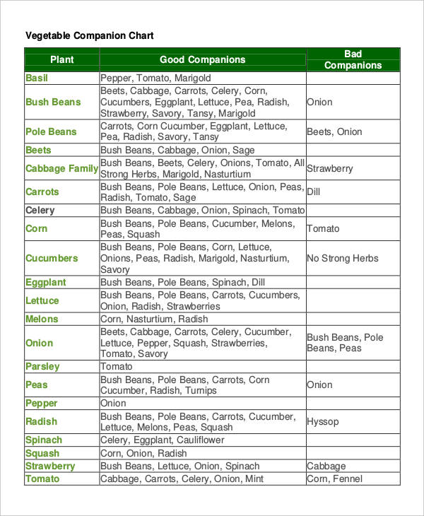 Compatible Vegetable Gardening Chart