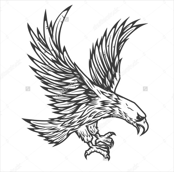 flying eagle vector