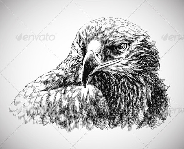 eagle head vector