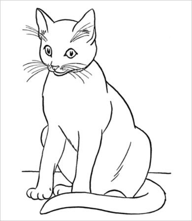 Cat Coloring Page -9+ Free PDF, JPG Format Download | Free & Premium