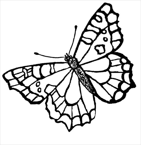 10+ Butterfly Coloring Pages
