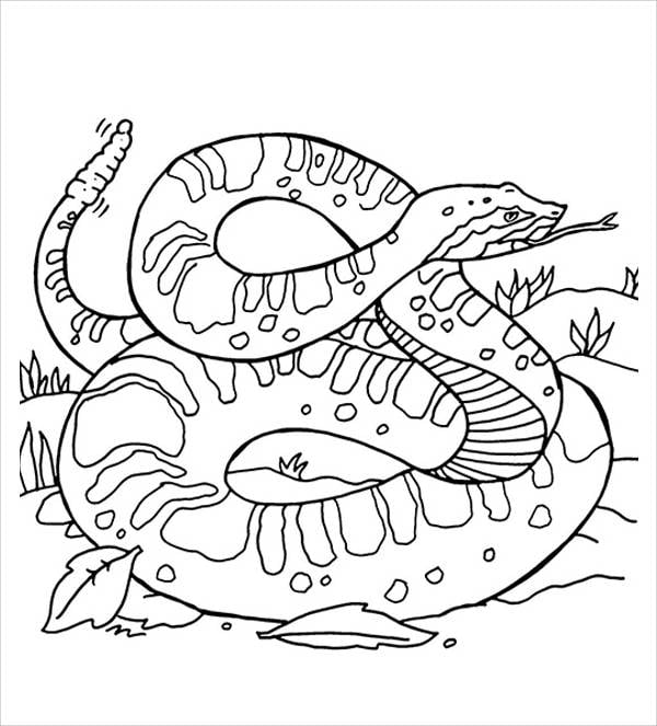 rattlesnake coloring page