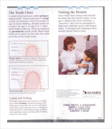 baby teething chart first teeth
