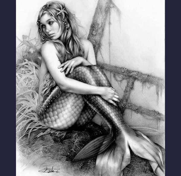 9+ Mermaid Drawings