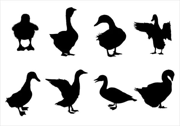 free duck silhouette vectors