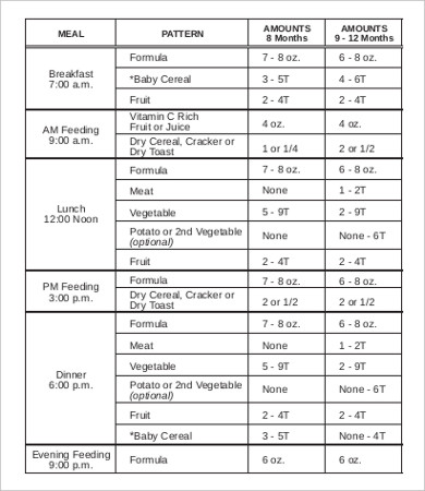 Infant Feeding Schedule - 7+ Free PDF Documents Download