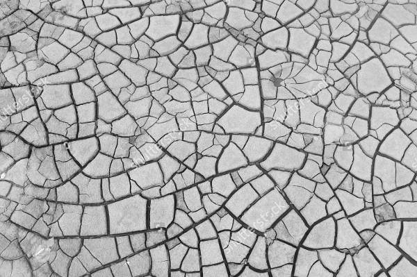 high resolution cracked soil texture