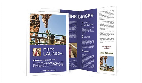Zoo Brochure - 9+ Printable PSD, AI, InDesign, Vector EPS Format Download