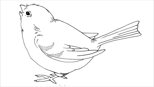 Free Printable Bird Images