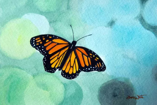 Watercolor Butterfly Painting