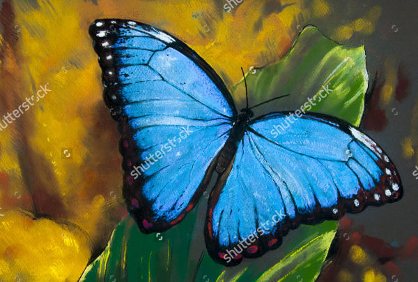 unique butterfly art