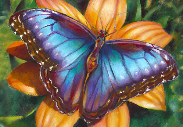 10+ Beautiful Butterfly Painting Ideas