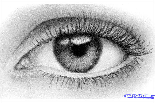 Observation Drawing 2023  Techniques to Master Your Basics