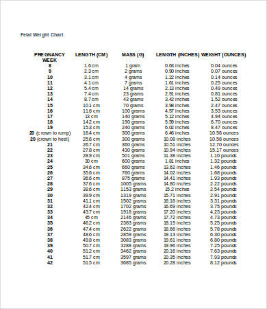 Fetal Weight Chart - 7+ Free Word, Excel, PDF Documents Download