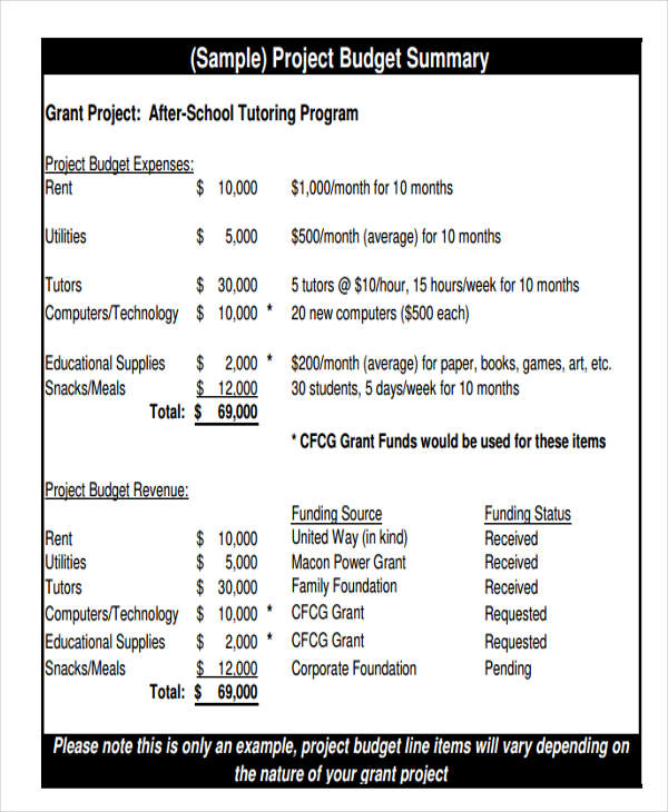 12+ Program Budget Templates - Word, PDF, Pages