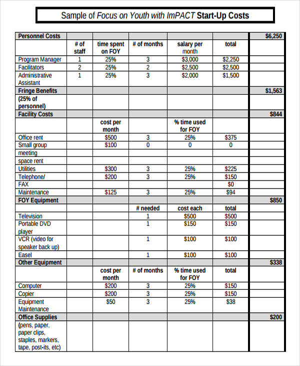 12 Program Budget Templates Word PDF Pages