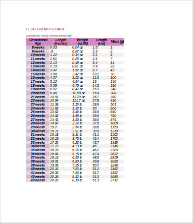 Fetal Weight Chart - 7+ Free Word, Excel, PDF Documents ...