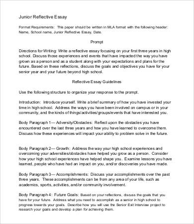 Reflective Essay Template - 18+ Free Word, PDF Documents Download