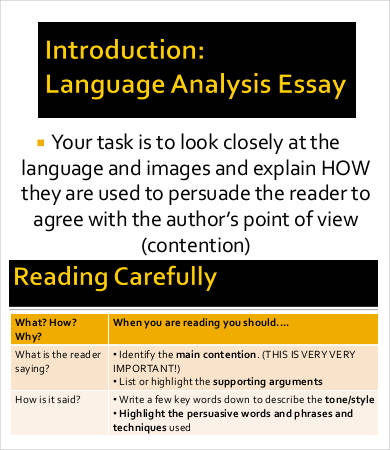 language analysis essay template