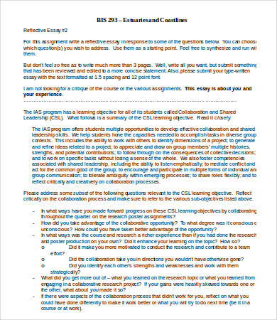 Microsoft Word Essay | Bartleby microsoft word essay