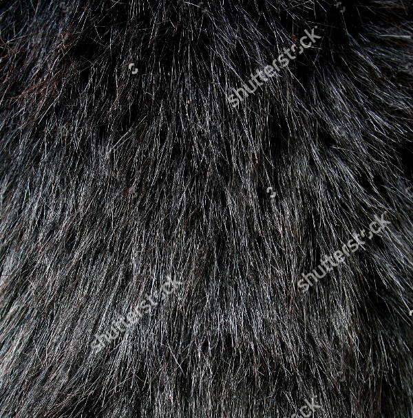 black fur texture