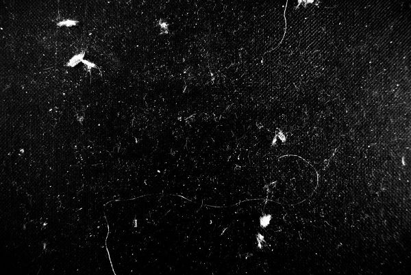 dust particles texture