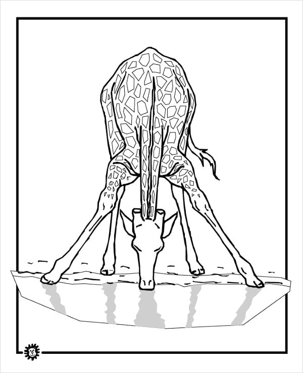 giraffe drinking water coloring page