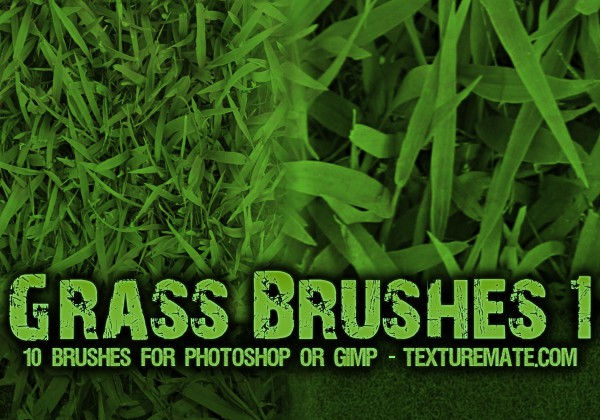 grass texture brushes