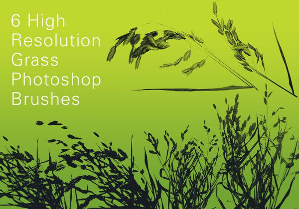 free high resolution grass brushes