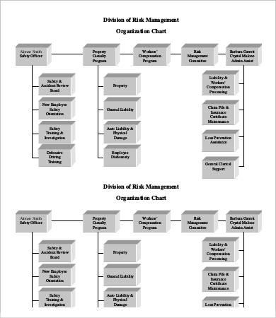 risk management organizational chart template