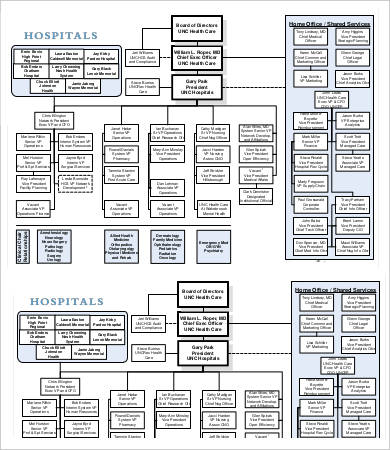 large hospital organizational chart template
