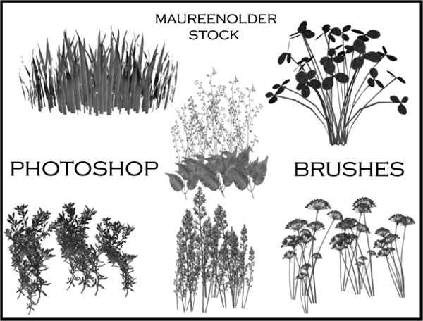 photoshop plants free download