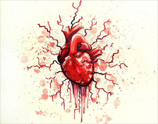 bleeding heart drawing