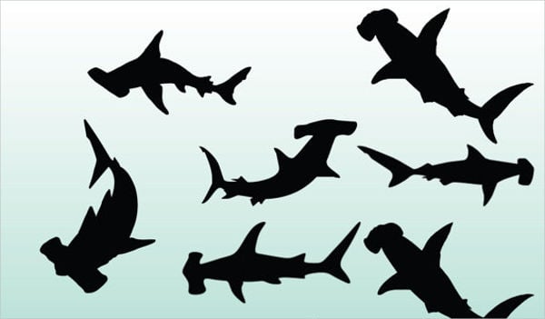 hammerhead shark silhouette