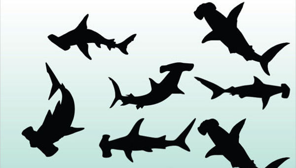 Free Free 129 Shark Silhouette Svg Free SVG PNG EPS DXF File