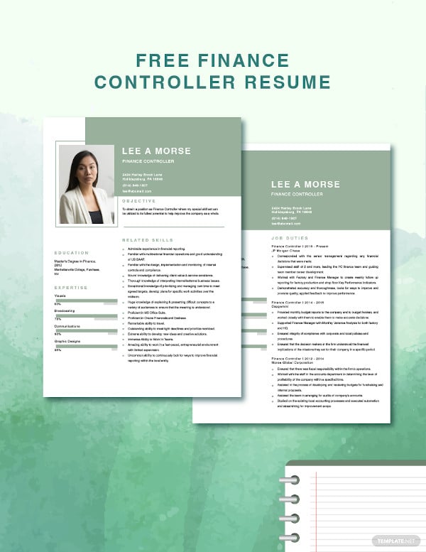 finance controller resume