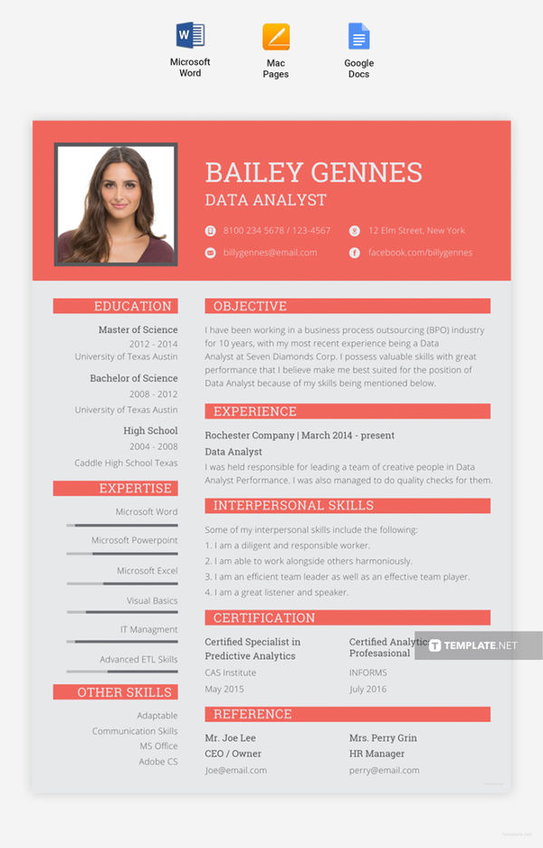 5 Data Entry Resume Templates PDF DOC