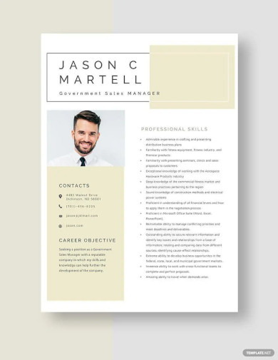 government sales manager resume