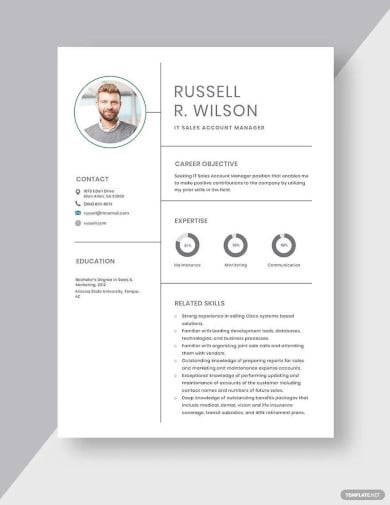 it sales account manager resume