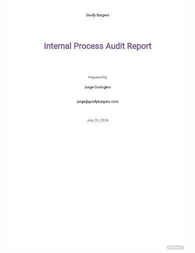 internal process audit report template