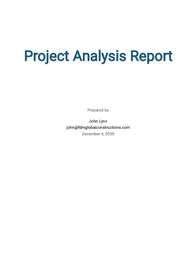 professional project analysis report