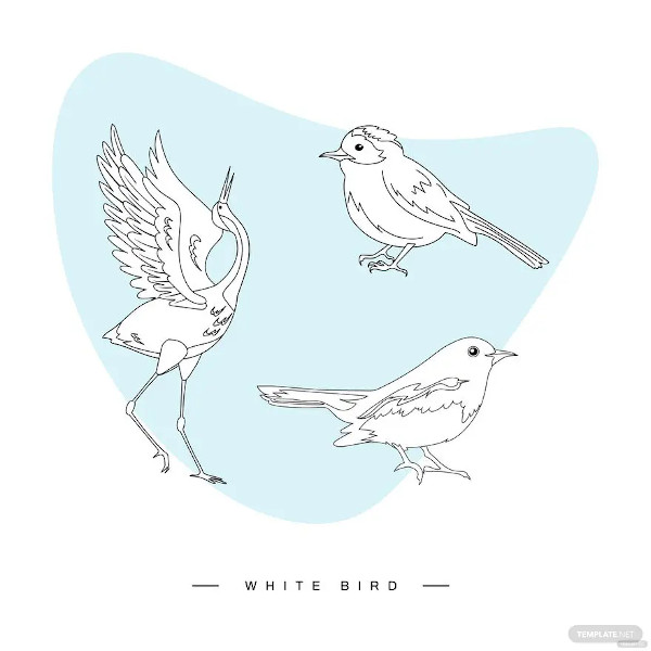 white bird vector