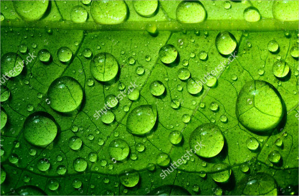 water drops on leaf texture